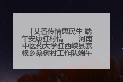 艾香传情惠民生 端午安康驻村情——河南中医药大学驻西峡县寨根乡桑树村工作队端午中医惠民记