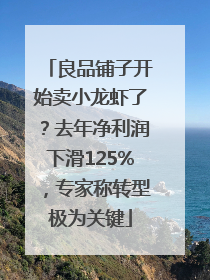 良品铺子开始卖小龙虾了？去年净利润下滑125%，专家称转型极为关键