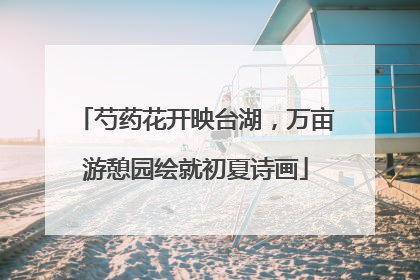 芍药花开映台湖，万亩游憩园绘就初夏诗画