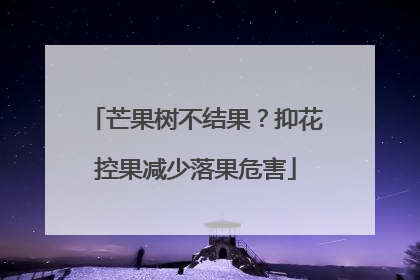 芒果树不结果？抑花控果减少落果危害