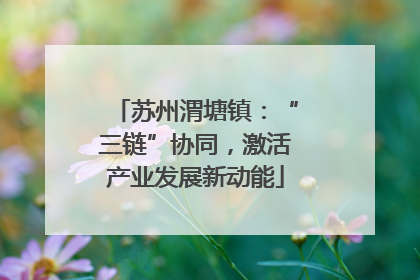 苏州渭塘镇：“三链”协同，激活产业发展新动能