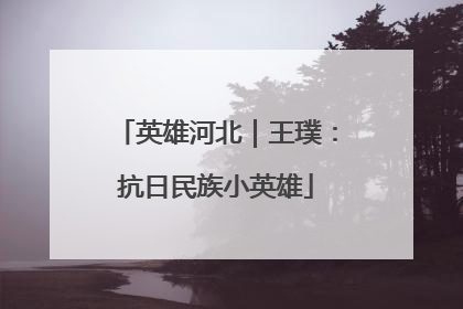 英雄河北｜王璞：抗日民族小英雄