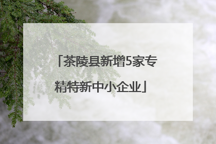 茶陵县新增5家专精特新中小企业