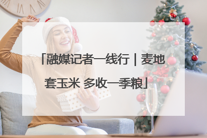 融媒记者一线行｜麦地套玉米 多收一季粮