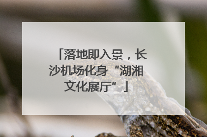 落地即入景，长沙机场化身“湖湘文化展厅”