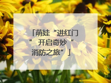 萌娃“进红门” 开启奇妙“消防之旅”