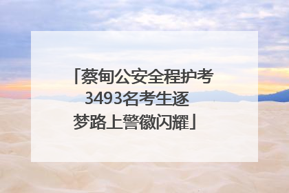 蔡甸公安全程护考 3493名考生逐梦路上警徽闪耀