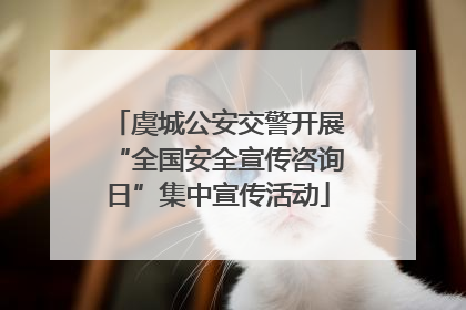 虞城公安交警开展“全国安全宣传咨询日”集中宣传活动
