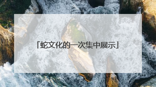 蛇文化的一次集中展示