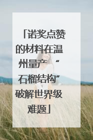 诺奖点赞的材料在温州量产 “石榴结构”破解世界级难题