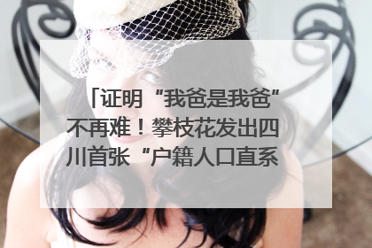 证明“我爸是我爸”不再难！攀枝花发出四川首张“户籍人口直系亲属关系谱”