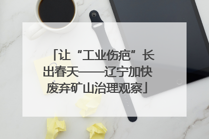 让“工业伤疤”长出春天——辽宁加快废弃矿山治理观察