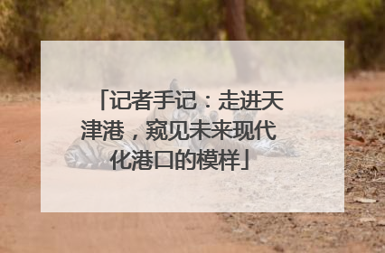 记者手记：走进天津港，窥见未来现代化港口的模样