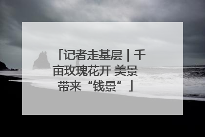 记者走基层｜千亩玫瑰花开 美景带来“钱景”