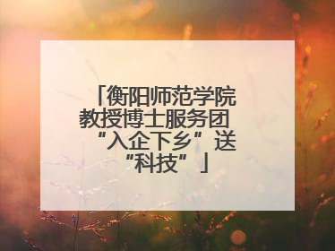 衡阳师范学院教授博士服务团“入企下乡”送“科技”
