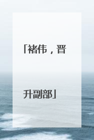 褚伟，晋升副部