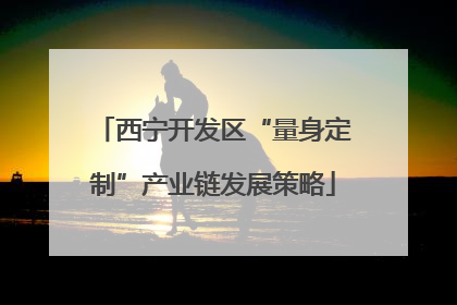 西宁开发区“量身定制”产业链发展策略