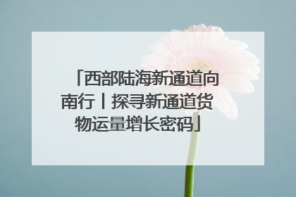 西部陆海新通道向南行丨探寻新通道货物运量增长密码