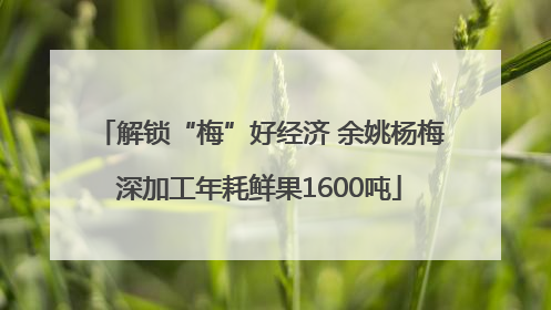 解锁“梅”好经济 余姚杨梅深加工年耗鲜果1600吨