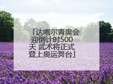 达喀尔青奥会迎倒计时500天 武术将正式登上奥运舞台