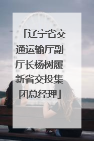 辽宁省交通运输厅副厅长杨树履新省交投集团总经理