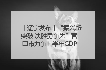 辽宁发布｜“振兴新突破 决胜勇争先”营口市力争上半年GDP增长6%左右