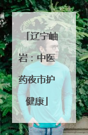 辽宁岫岩：中医药夜市护健康