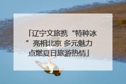 辽宁文旅携“特种冰”亮相北京 多元魅力点燃夏日旅游热情