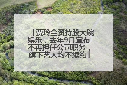 贾玲全资持股大碗娱乐，去年9月宣布不再担任公司职务，旗下艺人均不续约