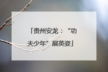 贵州安龙：“功夫少年”展英姿