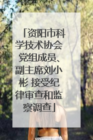 资阳市科学技术协会党组成员、副主席刘小彬 接受纪律审查和监察调查