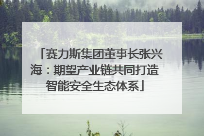 赛力斯集团董事长张兴海：期望产业链共同打造智能安全生态体系