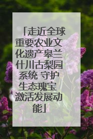 走近全球重要农业文化遗产皋兰什川古梨园系统 守护生态瑰宝 激活发展动能