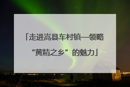 走进嵩县车村镇—领略“黄精之乡”的魅力