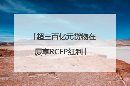 超三百亿元货物在厦享RCEP红利