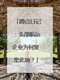 蹲点日记：头部航运企业为何聚集此地？