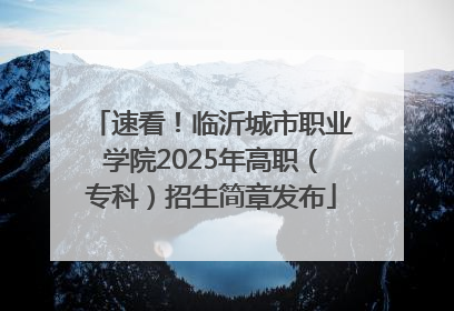 速看！临沂城市职业学院2025年高职（专科）招生简章发布