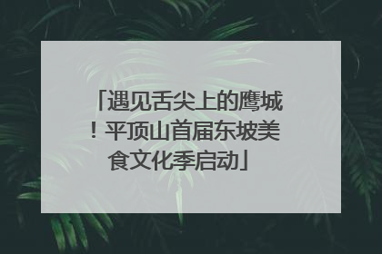 遇见舌尖上的鹰城！平顶山首届东坡美食文化季启动