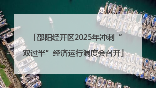 邵阳经开区2025年冲刺“双过半”经济运行调度会召开