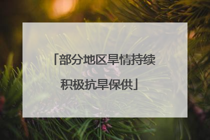 部分地区旱情持续 积极抗旱保供