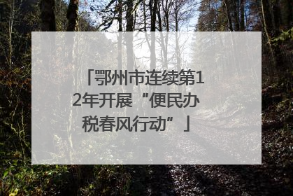 鄂州市连续第12年开展“便民办税春风行动”