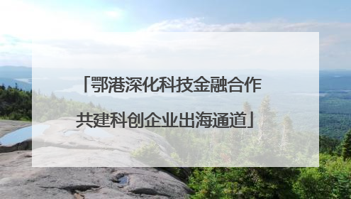 鄂港深化科技金融合作 共建科创企业出海通道