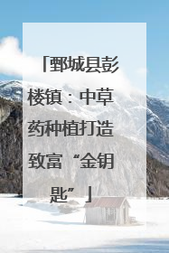 鄄城县彭楼镇：中草药种植打造致富“金钥匙”
