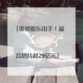 重要股东出手！最高增持超29亿元