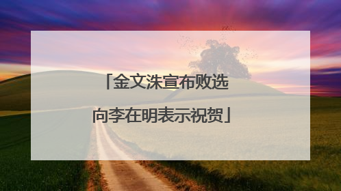 金文洙宣布败选 向李在明表示祝贺