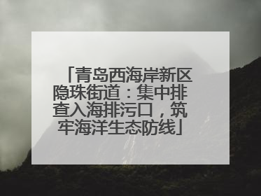 青岛西海岸新区隐珠街道：集中排查入海排污口，筑牢海洋生态防线