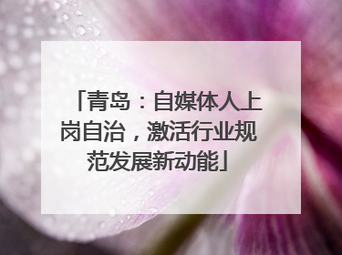 青岛：自媒体人上岗自治，激活行业规范发展新动能
