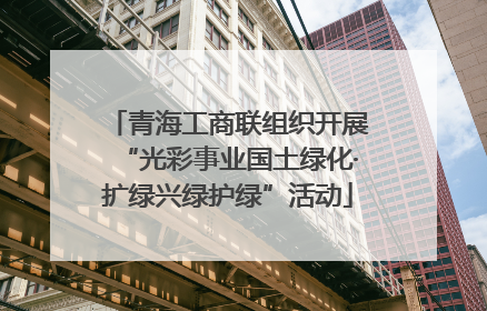青海工商联组织开展“光彩事业国土绿化·扩绿兴绿护绿”活动