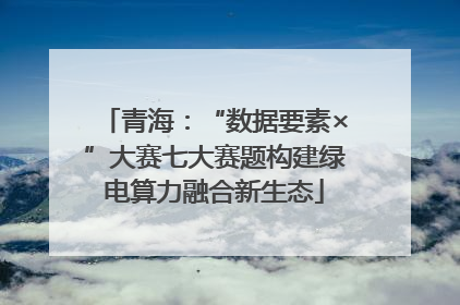 青海：“数据要素×”大赛七大赛题构建绿电算力融合新生态