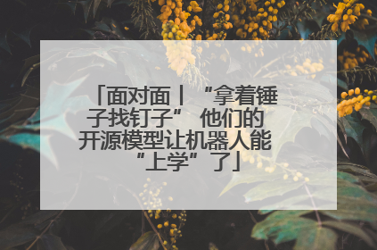 面对面丨“拿着锤子找钉子” 他们的开源模型让机器人能“上学”了